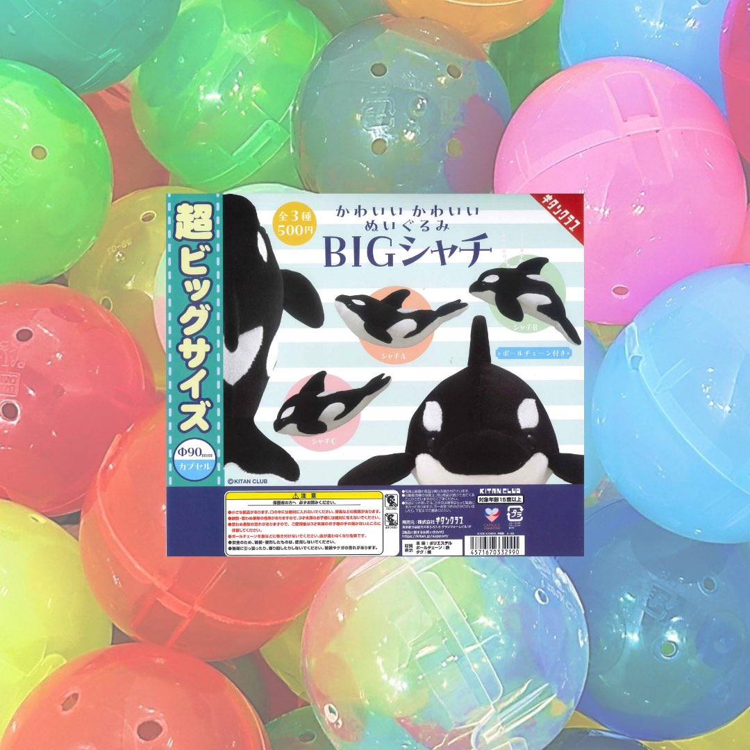 🍫2/13新商品のご案内④🍫 📌 かわいい かわいい ぬいぐるみ BIG