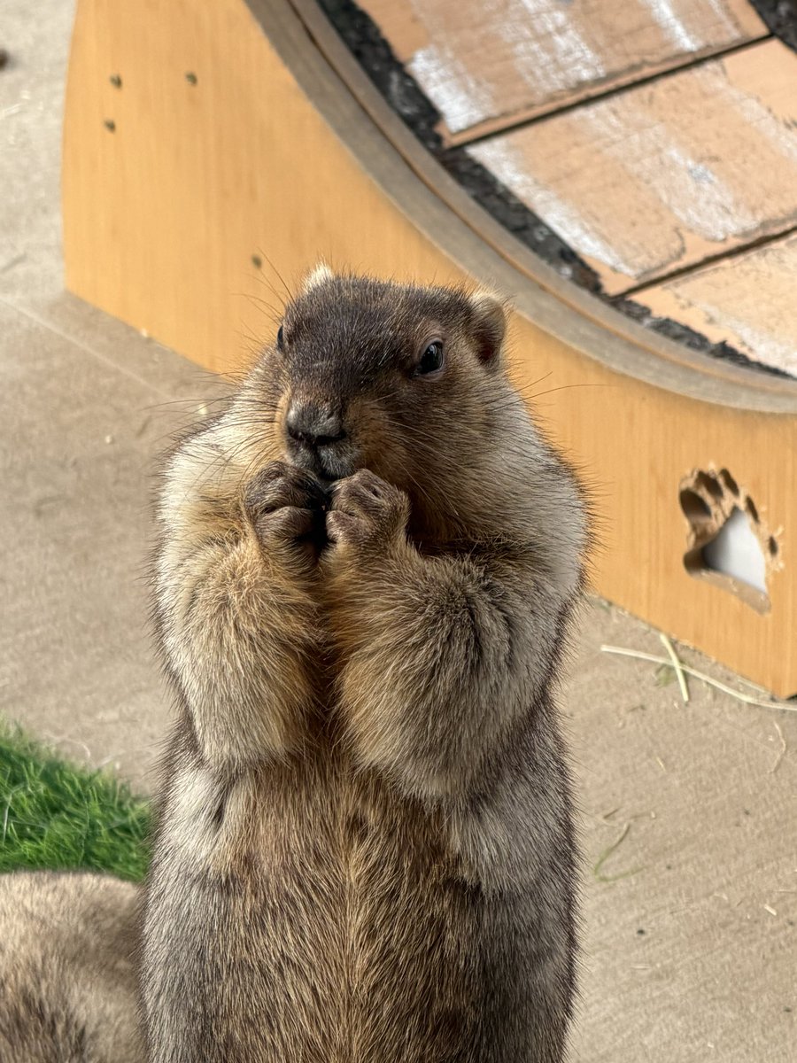 竹下健人 tweet media