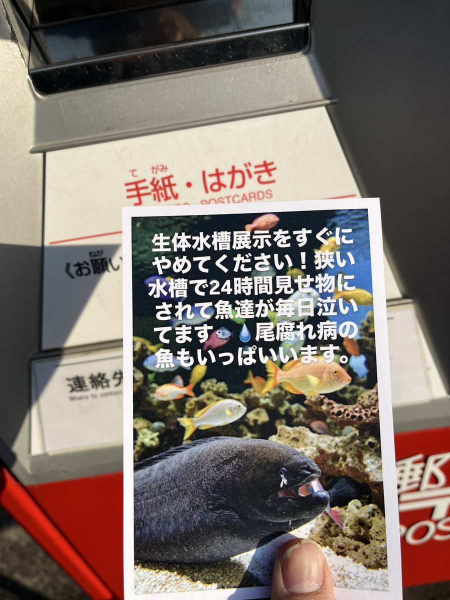 皆さん、 #ドン・キホーテ に生体水槽展示の廃止、拡散、ハガキアクションお願いします🙇‍♂️
#海水魚 #虐待反対 #生体水槽展示 #生体水槽展示反対 #水槽