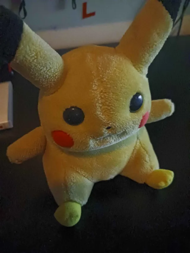 Hobble Rox tweet media