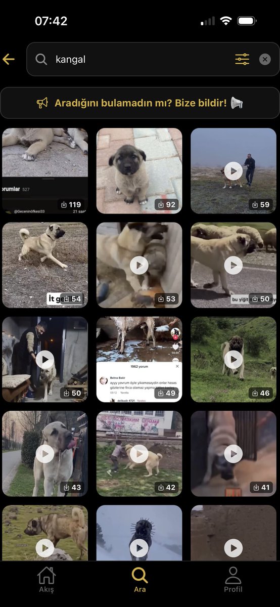 maalesef son yüzyılın en iyi uygulaması