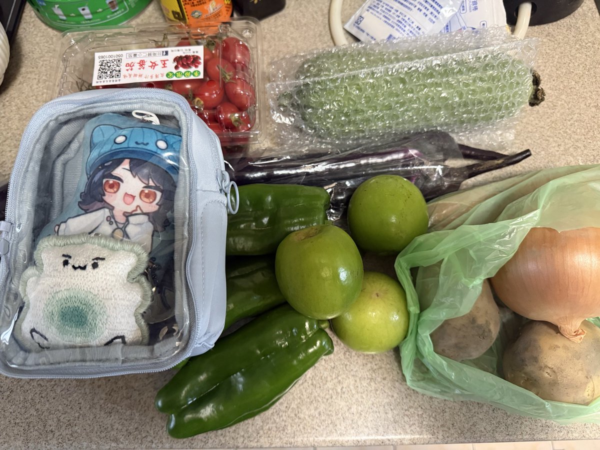 第一次帶帝江去買菜，興高采烈地挑完菜要結帳時，突然驚覺身上沒有現金
草：嗯..這個…老闆不好意思，我忘了帶錢，我可以用帝江抵押嗎？
闆：有信用卡嗎？
草：什麼！？老闆你們現在可以刷卡？
闆：對啊
難道這就是帝江真正的實力嗎？我之前錯怪你了，請受我一拜
帝：嘿嘿
#蘭蘭你看 #小小帝江出任務