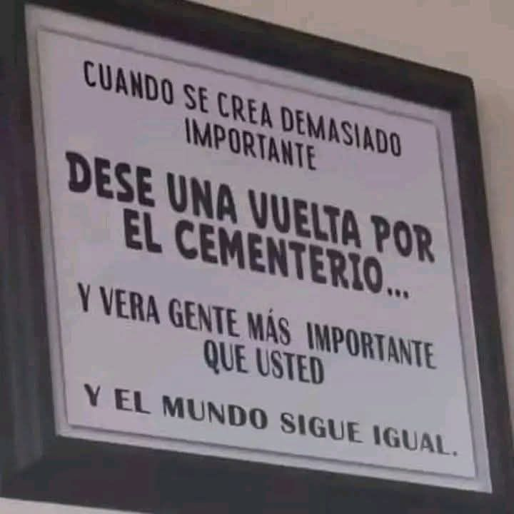 Mejor que todos los libros de autoayuda que he leído juntos: