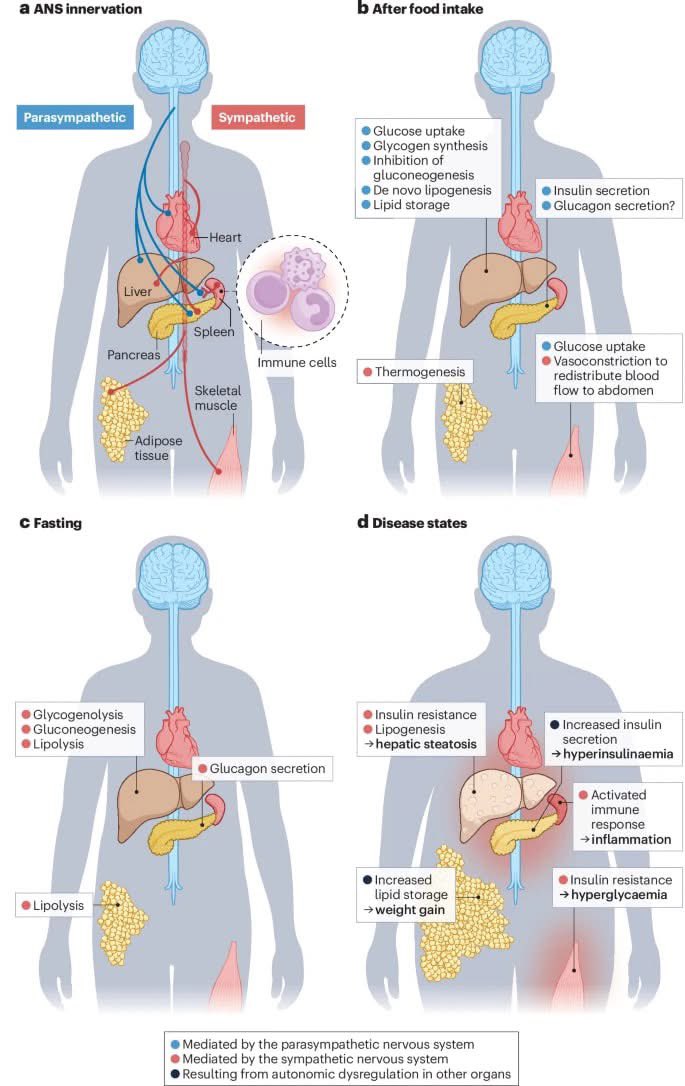Keith Siau tweet media
