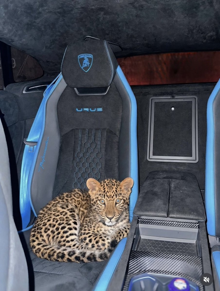 the culture 2.0 | magazine (@galactamelamasc) on Twitter photo 