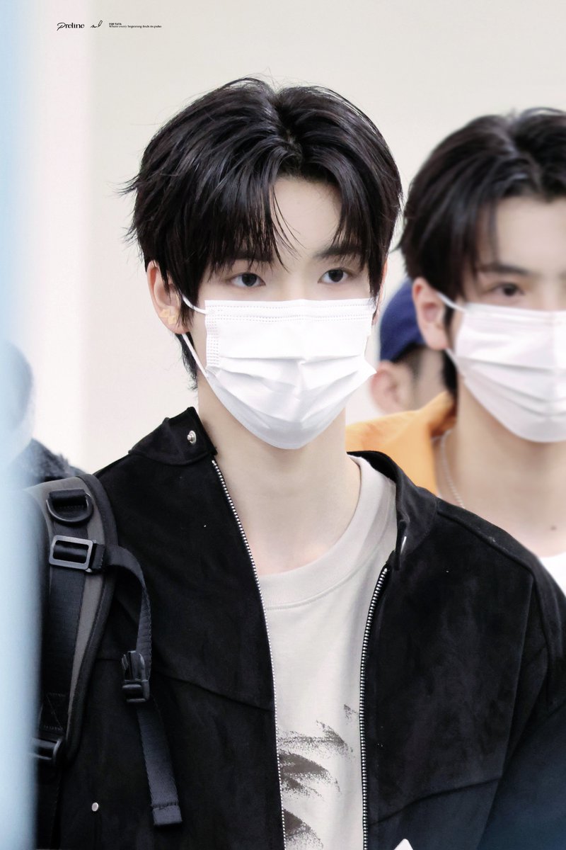 Preline. tweet media