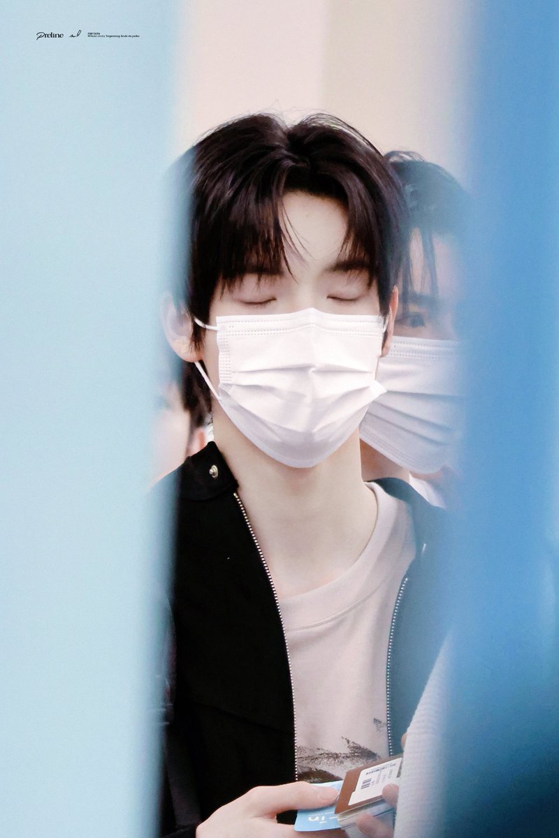 Preline. tweet media