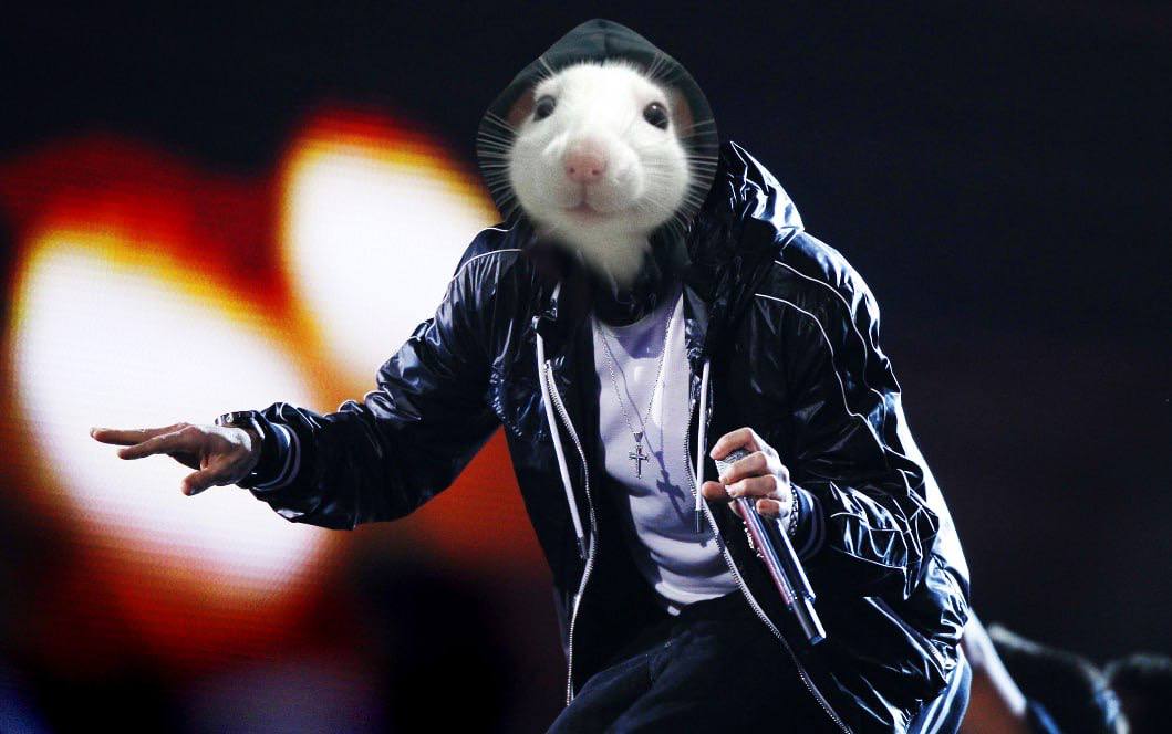 You ain't gotta like it cause the hood gone love it