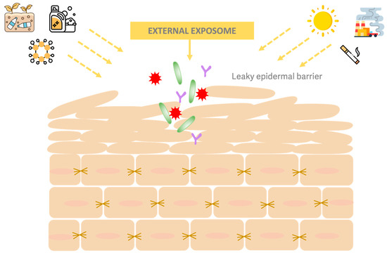 Applsci's tweet image. ☀️ Welcome to read these review papers!
1. Revealing the Potential Use of Macro and #MicroalgaeCompounds in #SkinBarrierRepair
mdpi.com/2076-3417/15/2…
by M. Lourdes Mourelle, Carmen P. Gómez and José L. Legido
2. #LargeLanguageModel-Based #VirtualPatientSimulations in Medical and