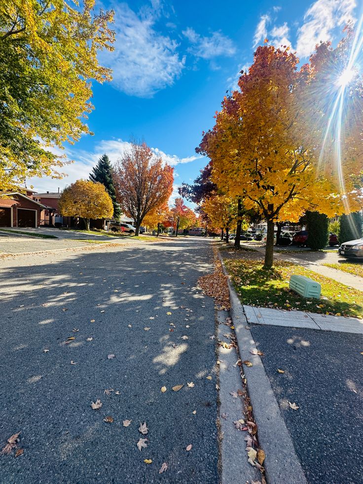 Good Afternoon X Family 🫶🏻 

Have A Peaceful Noon ☕