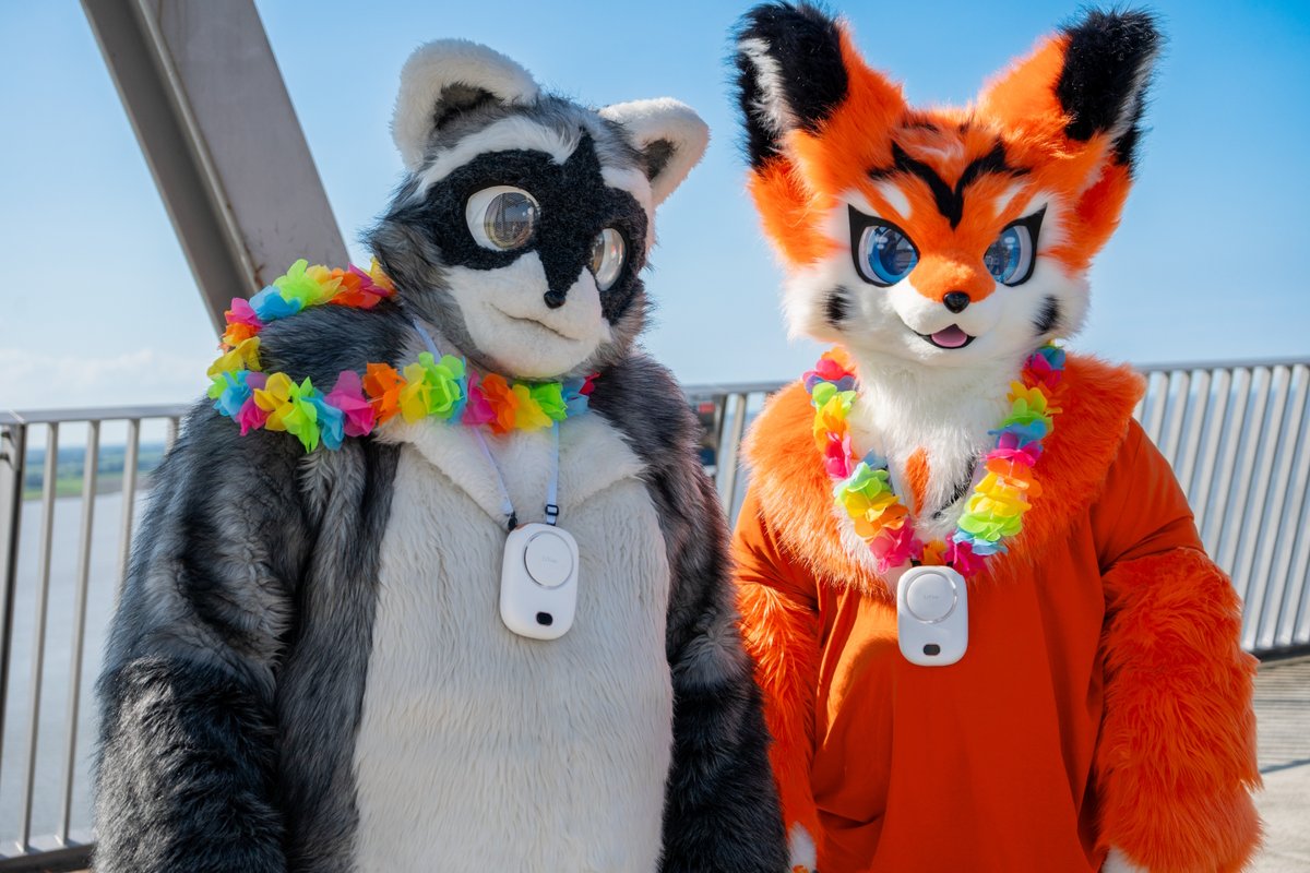 Ailurus, Ryūki & Júzǐ tweet media