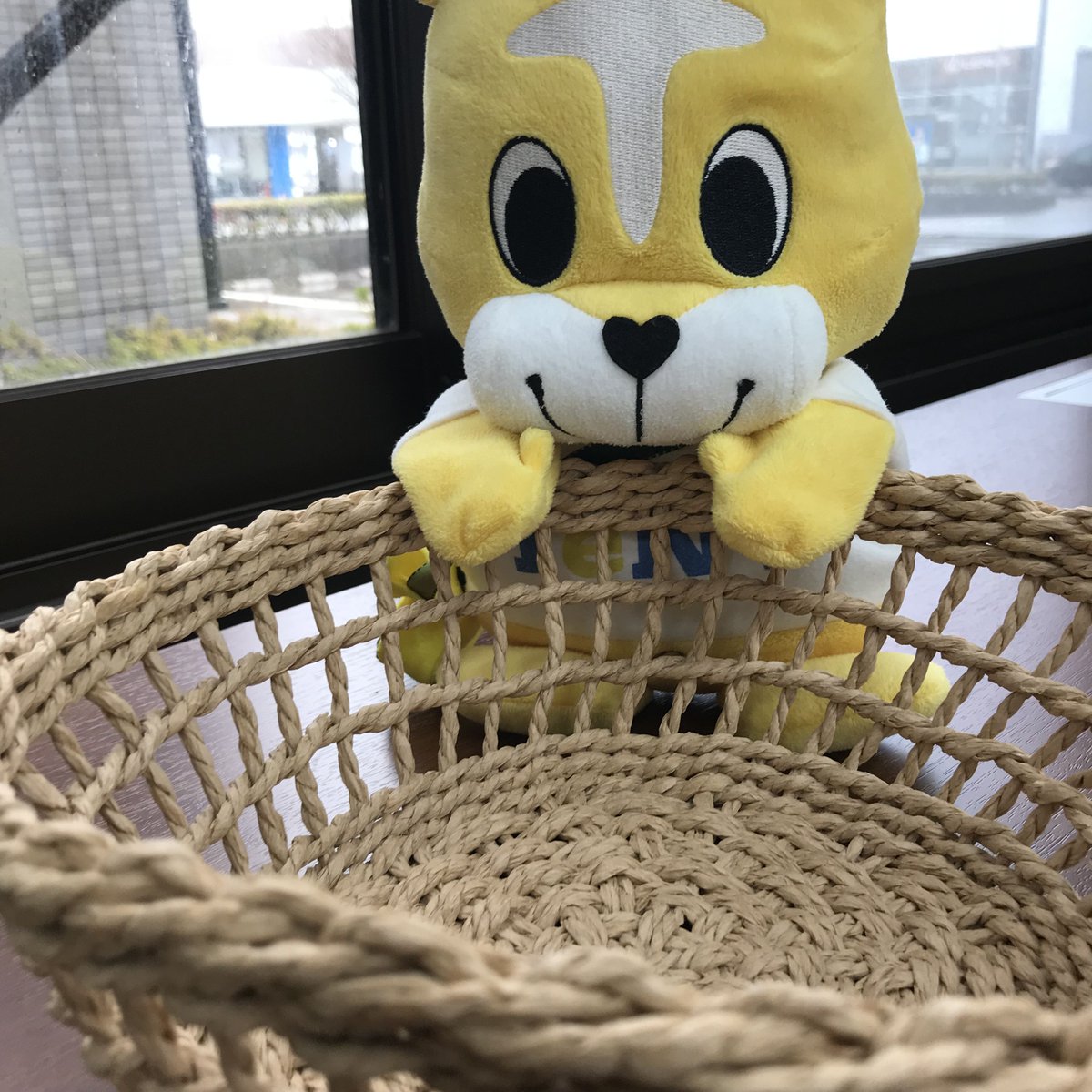 てっと君 (@tetto_kun) / Posts / X