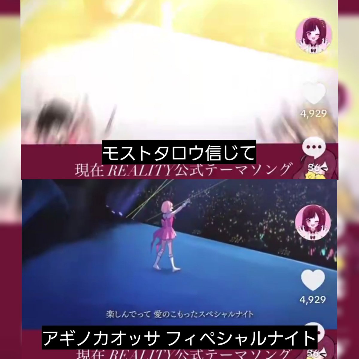 めんどうな犬 tweet media