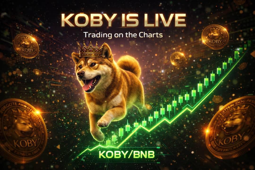 koby tweet media