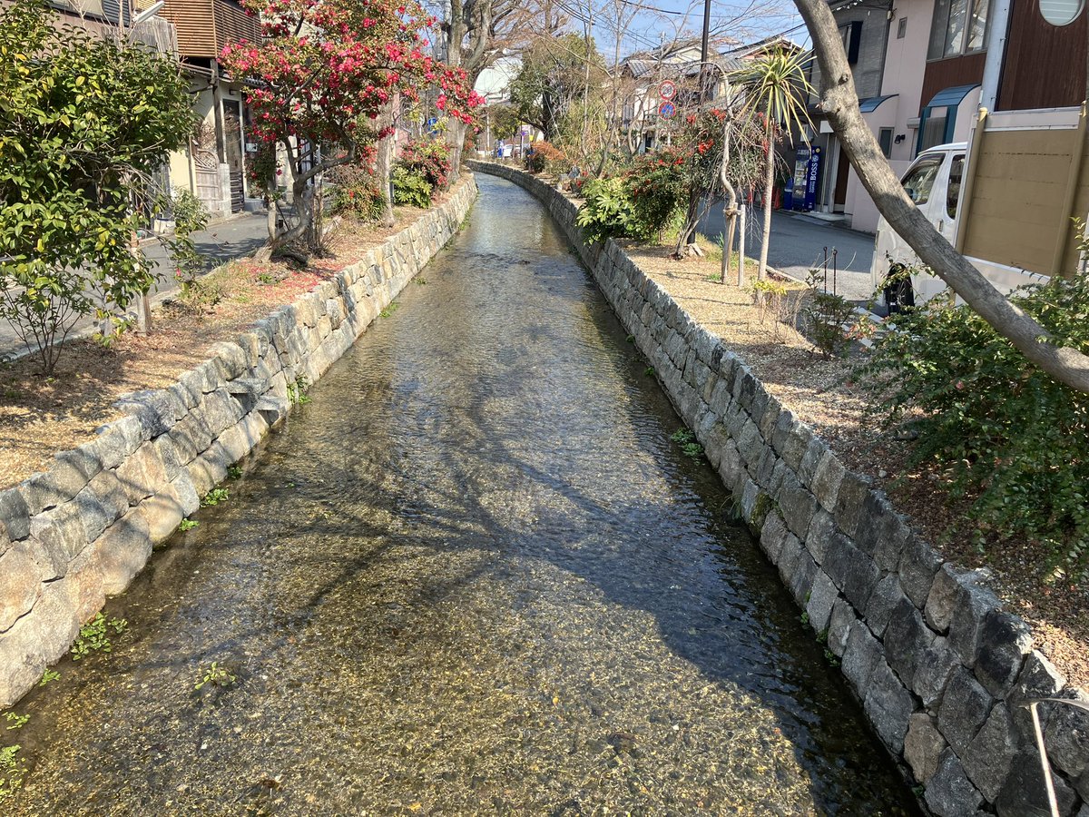 unknown_kyoto's tweet photo. こんにちは、急に暖かく春の陽気の今日です！五条楽園界隈、散歩に楽しい小さなお店や面白い景色を見つけるのも楽しい✨
📍2月14日から一週間のお知らせ
●コワーキング 毎日 10:00-19:00
●レストラン 月-土 sin 11:30-15:00 17:30-21:30 ※土曜ランチ休
●日曜日の一皿 2/15：GOENカフェ 11:00-17:00 https://t.co/H77Uc9tPHd