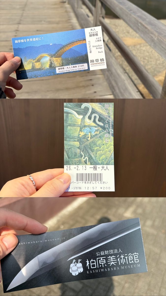 あやめ tweet media