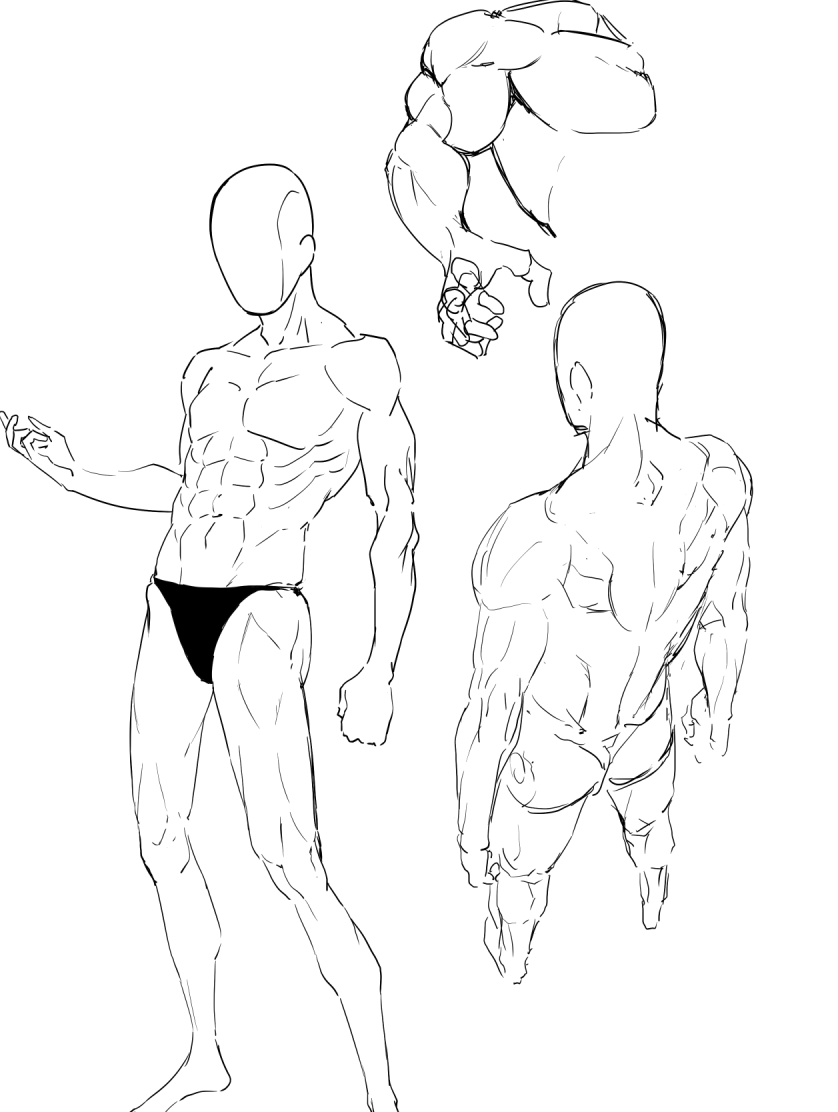 筋肉ほんまおぼえられん 