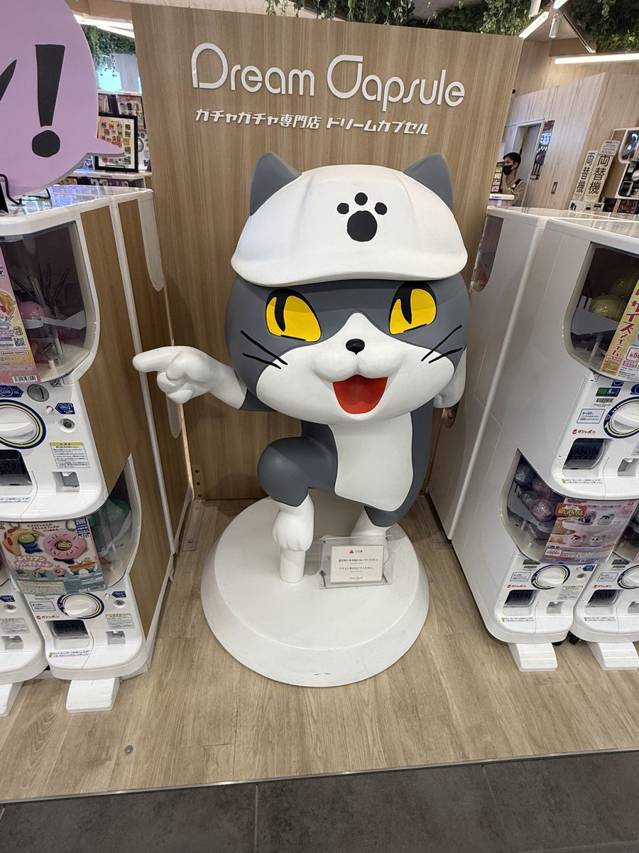 これは何というかキャラですか？