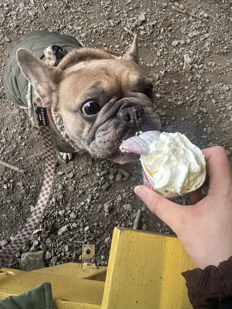 Copper Cup - Lauren tweet media