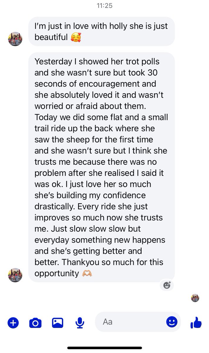 Kate L Goodrich 💭🐴♥️🇦🇺🧁 tweet media