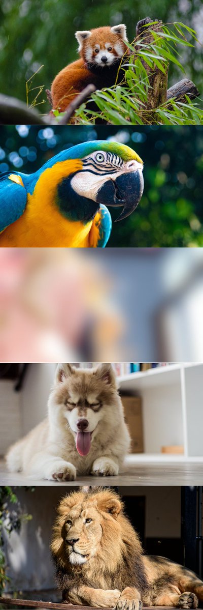 AngelaPark95128's tweet image. (1/7)　SFW