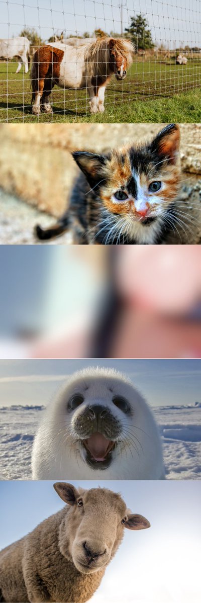 AngelaPark95128's tweet image. (1/7)　SFW