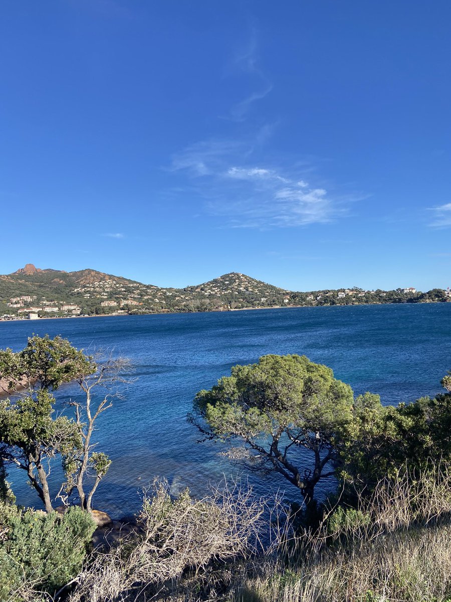 Good Morning Friends