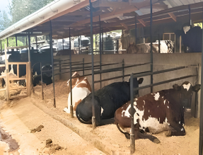 Denmark in Kenya tweet media