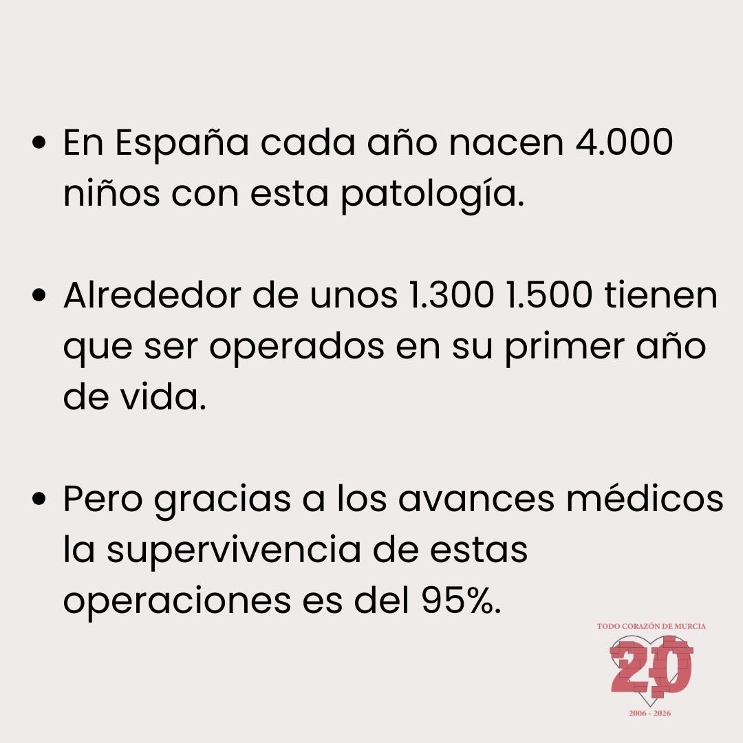 TodoCorazónMurcia tweet media