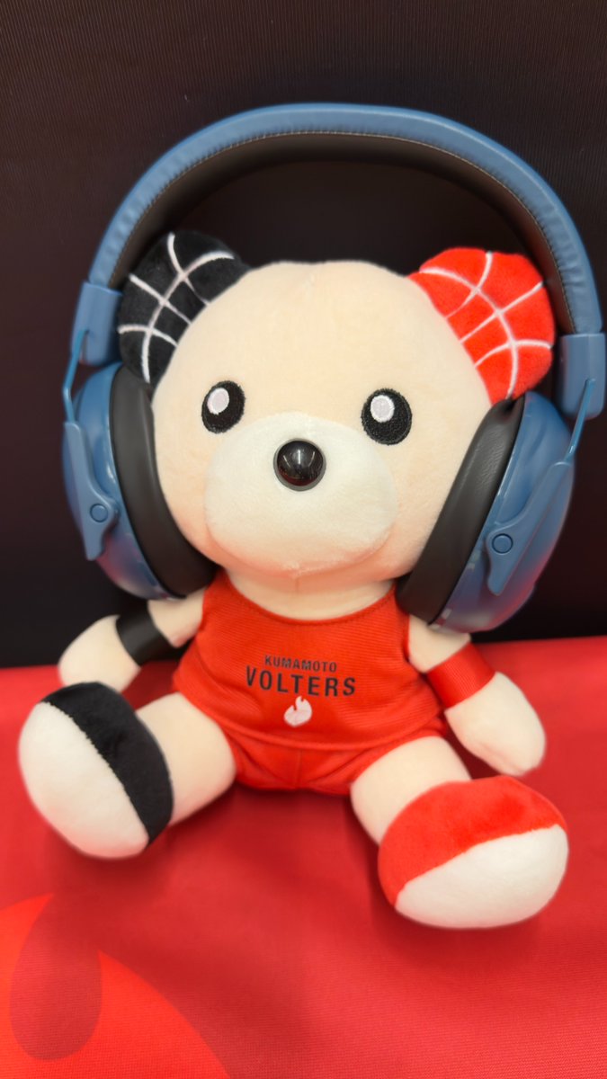 熊本ヴォルターズ tweet media
