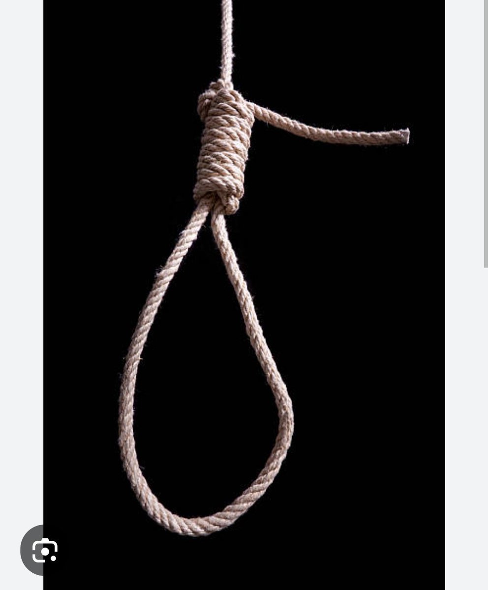 Cat Bllr tweet media