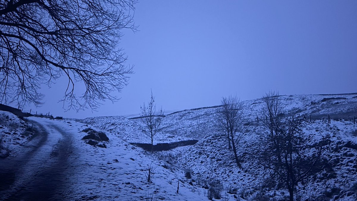 The #OffGrid Gardener tweet media