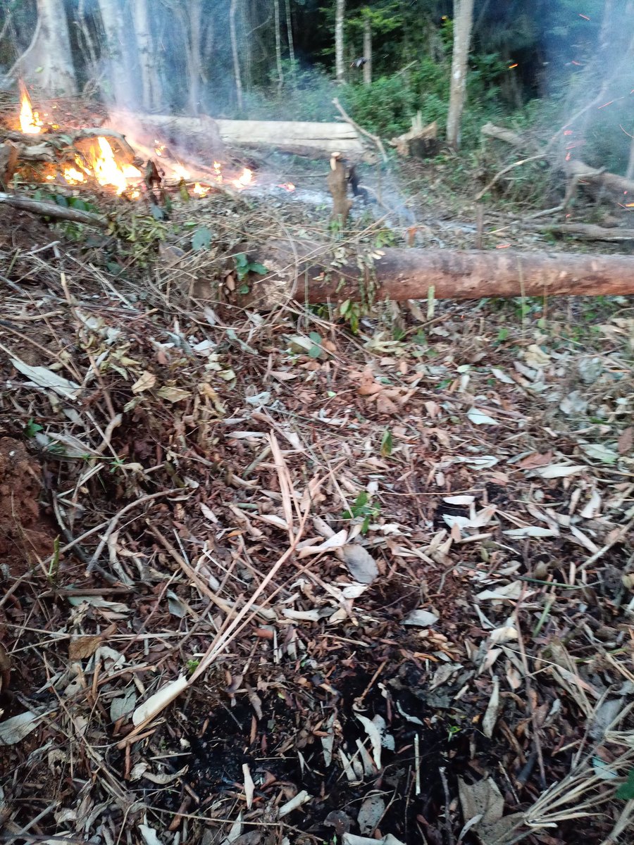 Tangwa Abilu.🌿🌏🌾🍀🍃.SDG's. tweet media