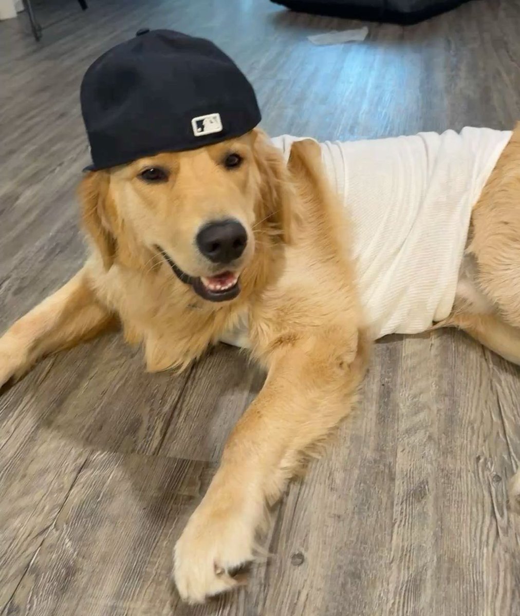 i love when yunjin wears her cap backwards