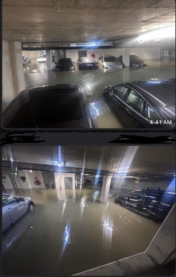 Nick Delehanty 🇮🇪 tweet media