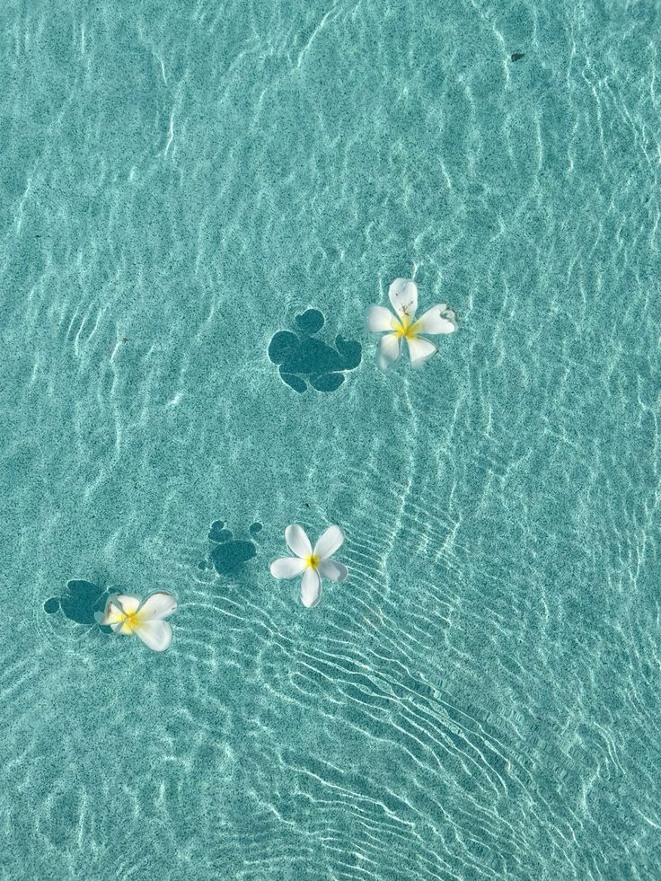 waves6260's tweet photo. https://t.co/LVdM3DIjkN