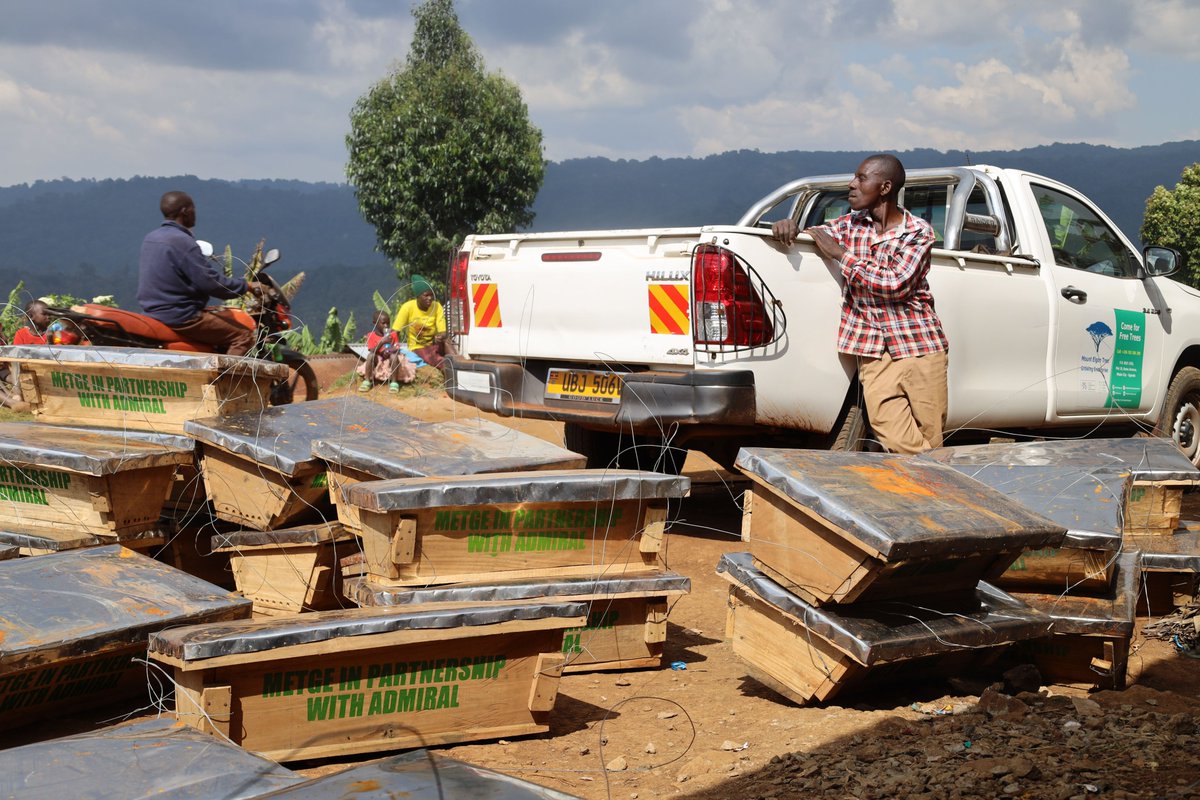Mount Elgon Tree Growing Enterprise tweet media