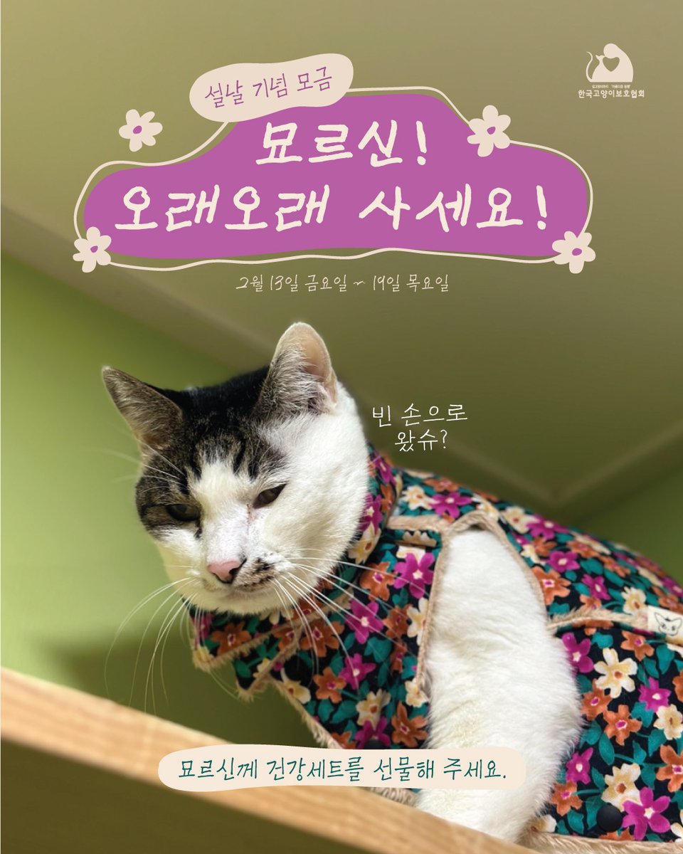 한국고양이보호협회 tweet media