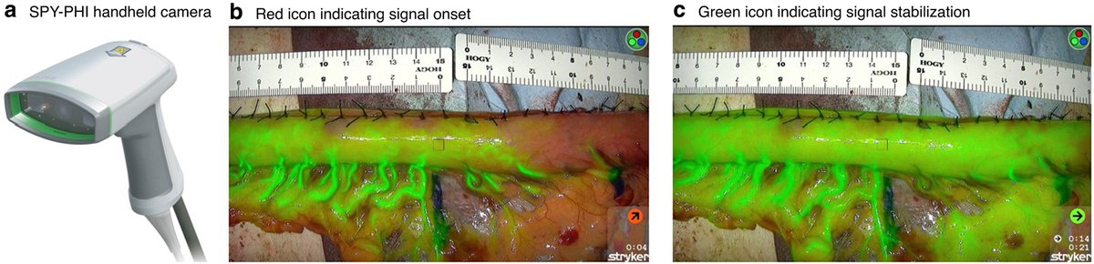 BJS Open tweet media