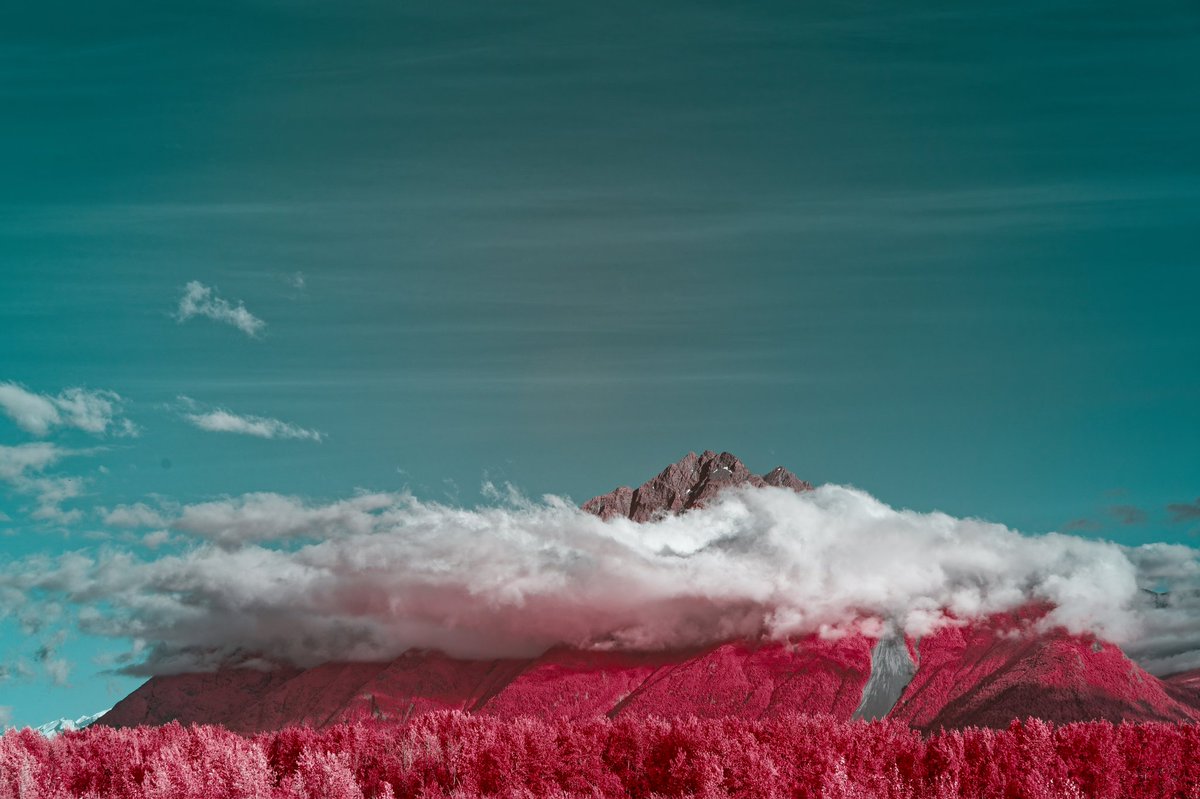 WayOutThere tweet media