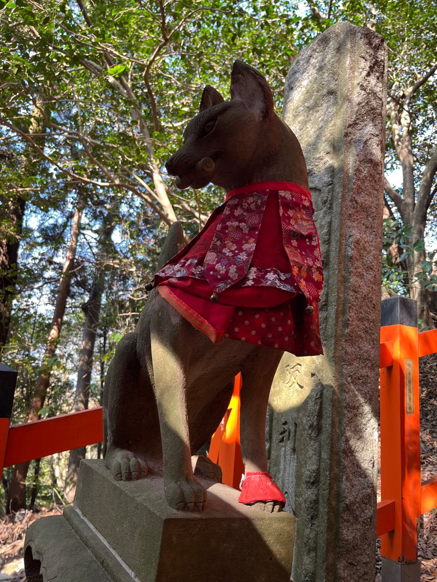 おててカバーをつけてる🦊🦊