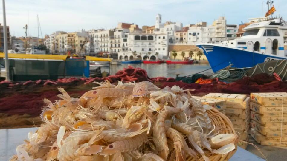 Continuen les #jornadesgalera als restaurants de les viles marineres de les #TerresdelEbre. 
📆 Del 6 de febrer al 8 de març
ℹ️ Més informació i menús a la nostra web: visitametllademar.com/s/ONxlrobP

#AmetlladeMar #Gastronomia #CatalunyaExperience