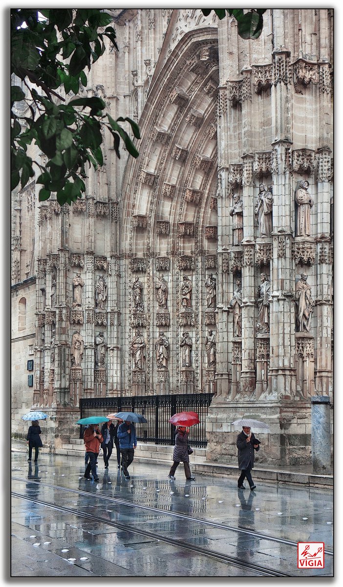 Lluvia en la Avda. de la Constitución con la Puerta de la Asunción de la Catedral
al fondo.