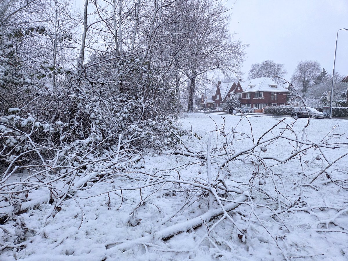 Mélarno Kraan tweet media