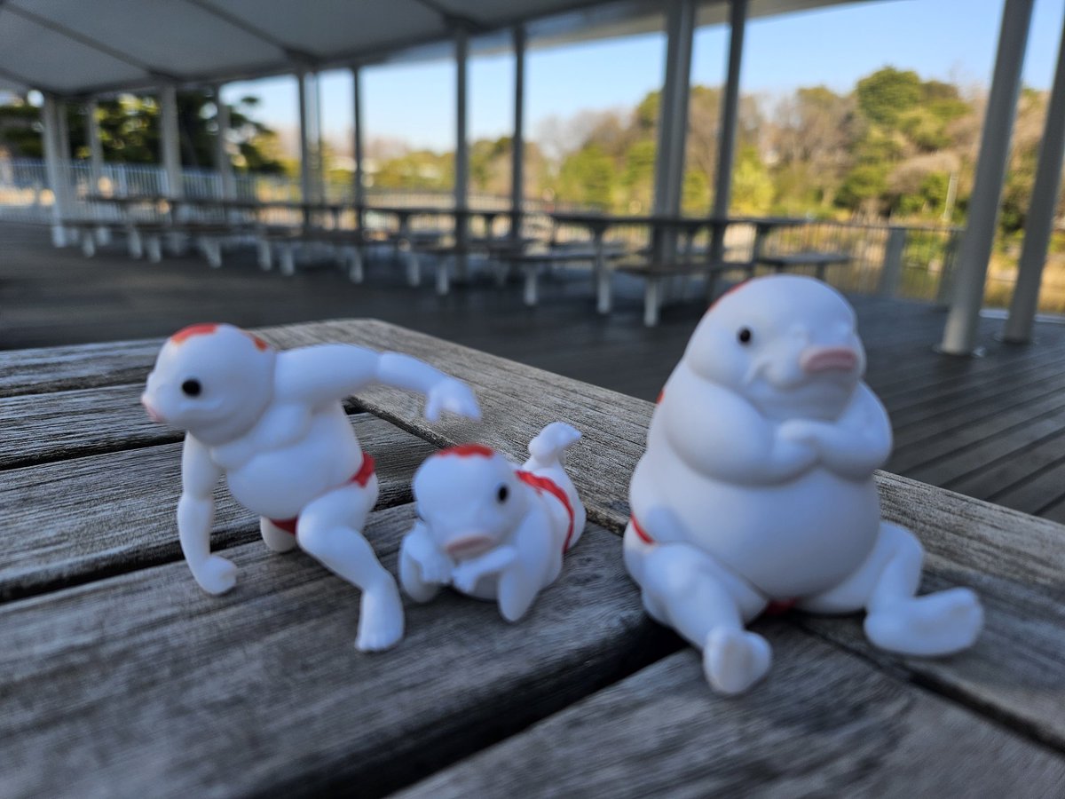 鯉人～コイマン～ (@Mr_NOBORIGOI) / Posts / X