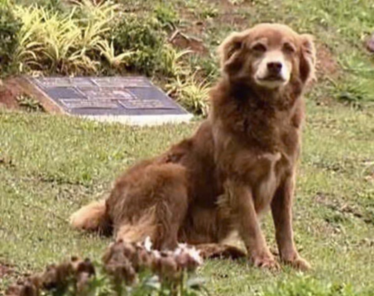 francesca milano tweet media