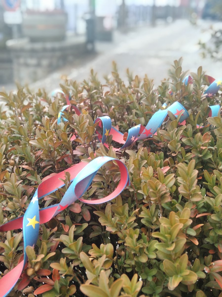 Sonia Zuccaro tweet media