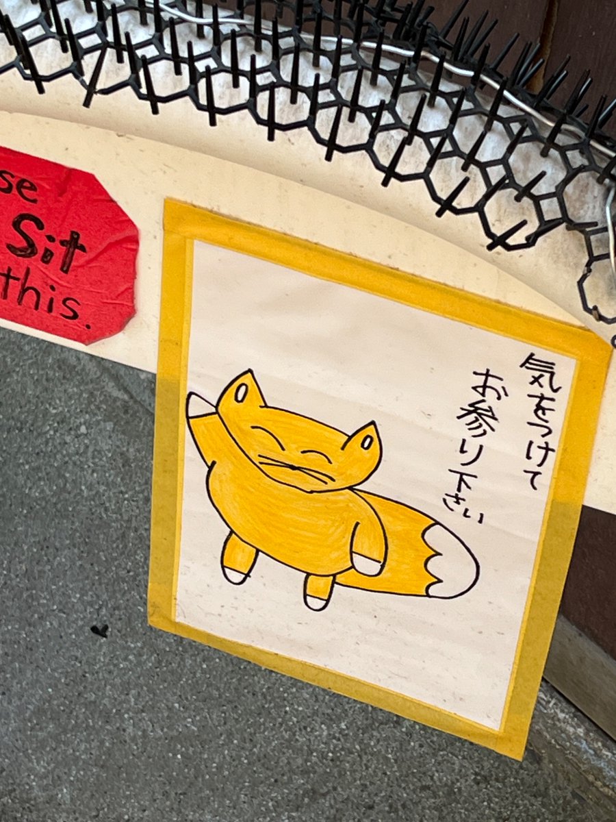道中とても
かわいいコがいました🦊