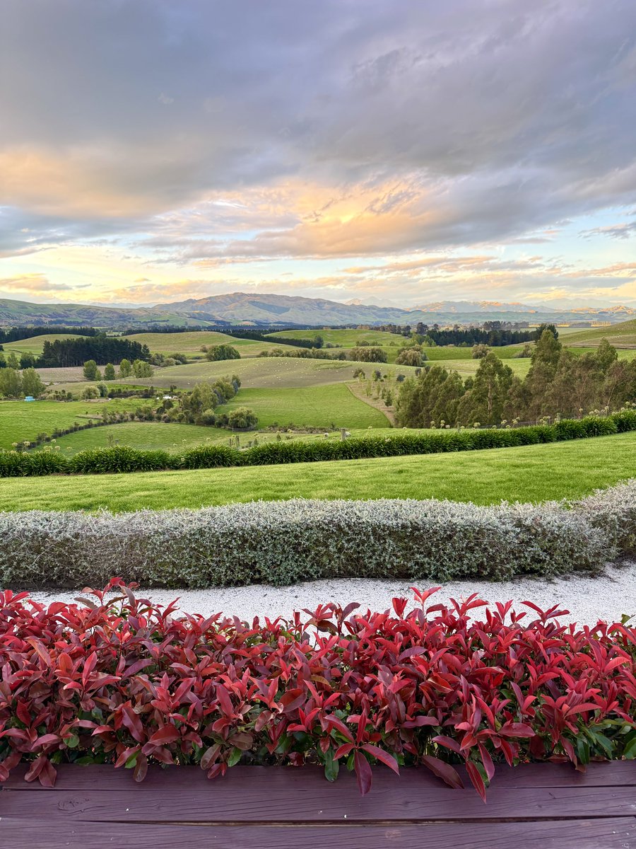 In a small New Zealand town, someone’s mischievously placed a bench outside my hotel room to stare at these absurdly beautiful hills, breathe an AQI of minus 1 million, and provoke a dangerous thought: why are we chasing, what ever we are chasing?