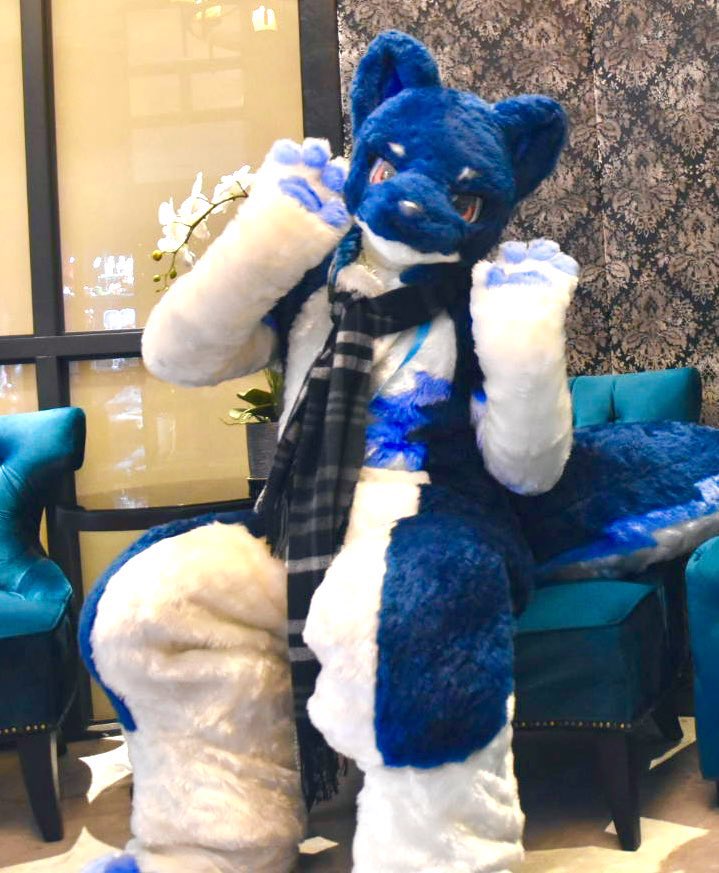 ハローヽ(*＾ω＾*)ﾉ
#FursuitFriday #fursuit